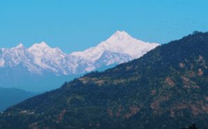 Travel Guide to India