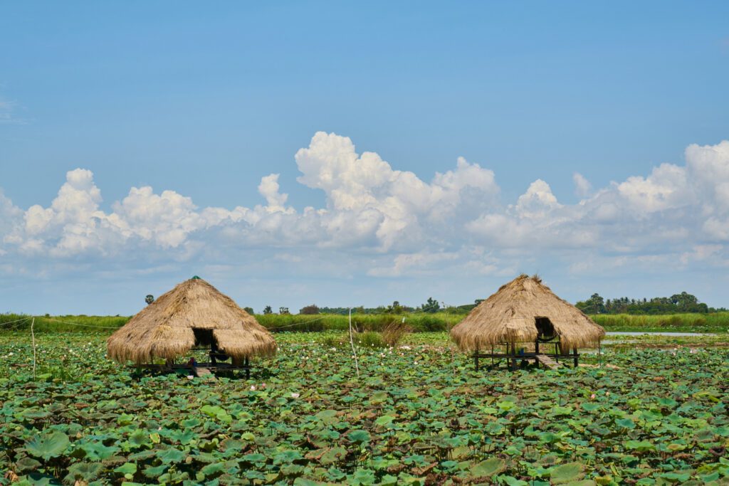Majuli -Budget Friendly Destinations in India
