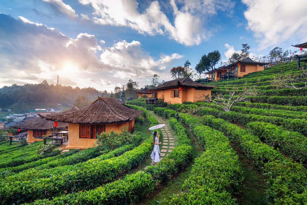 Nainital Travel Guide